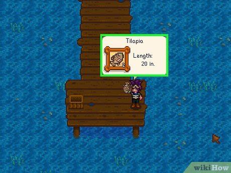 Stardew Valley Tilapia: A Comprehensive Guide to the Stardew Valley Fish