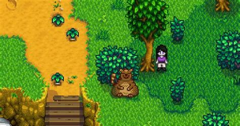 Stardew Valley Trash Bear: Your Ultimate Guide