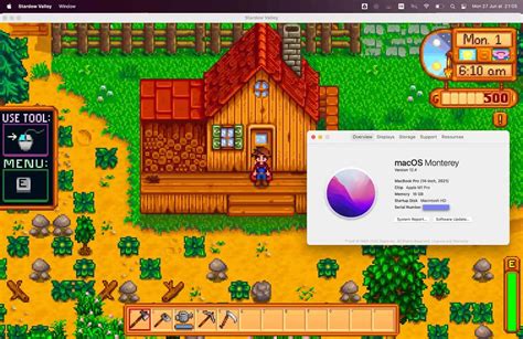 Stardew Valley on MacBook: A Serene Escape and Creative Outlet