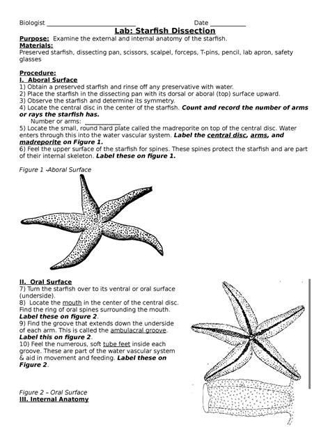 Starfish Dissection Answer PDF