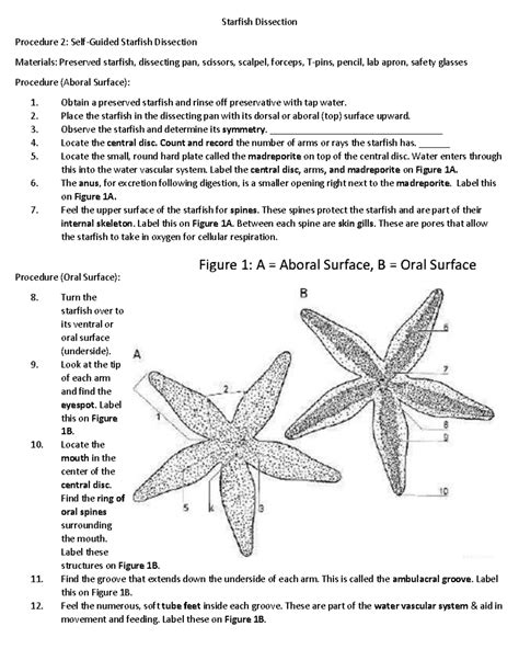 Starfish Dissection Answer Key Biology Junction Epub