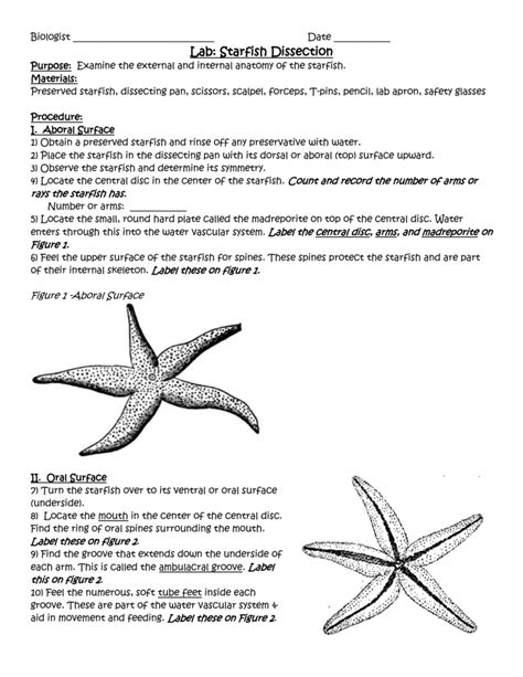 Starfish Lab Answers Doc