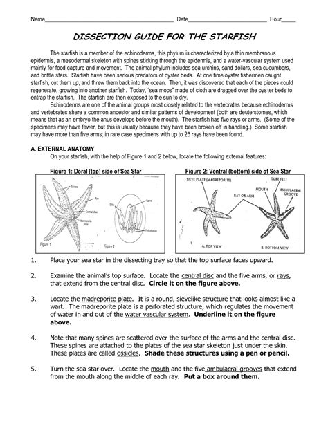 Starfish Pre Lab Answers PDF