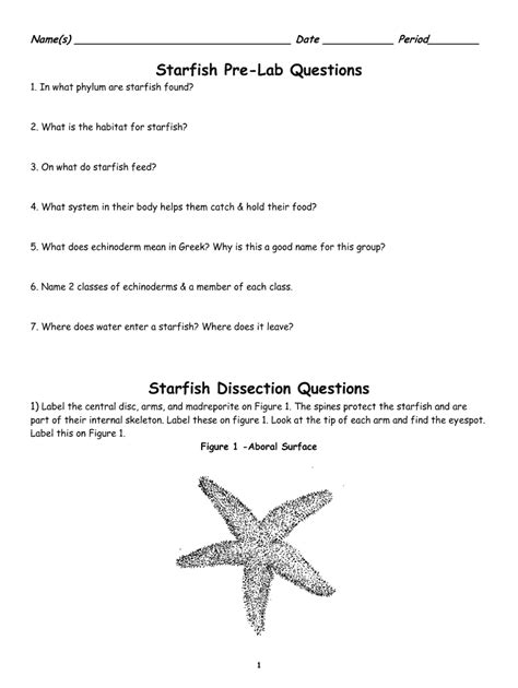 Starfish Pre Lab Answers PDF