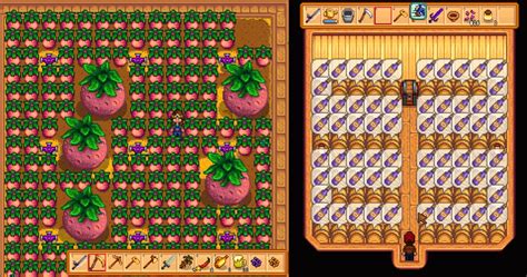 Starfruit Wine: A Delightful Brew in Stardew Valley