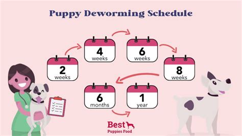 Start deworming your puppy at 2 weeks of age.