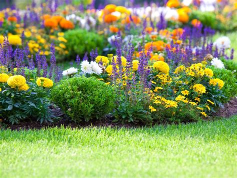 Start to Plant Flower Gardens Reader
