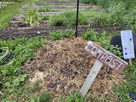 Start with a well-mixed compost pile.