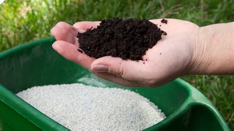 Starter Fertilizers: A Comprehensive Guide