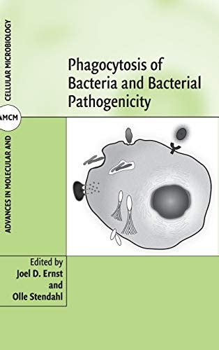 Starvation in Bacteria 1st Edition Doc