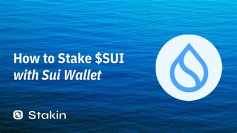 Stash Wallet: Your Gateway to Sui's Limitless Potential