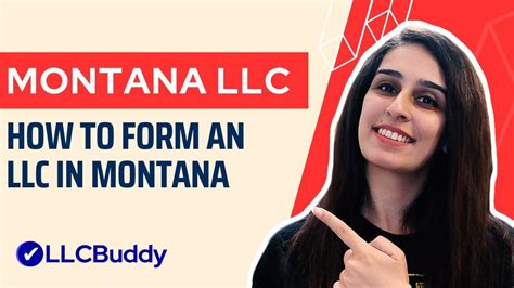 State of Montana LLC: The Ultimate Guide (2023)