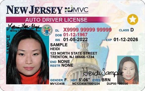 State of New Jersey Drivers License: All You Need to Know