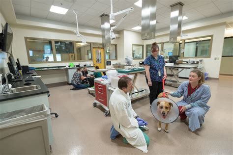 State-of-the-Art Veterinary Facility