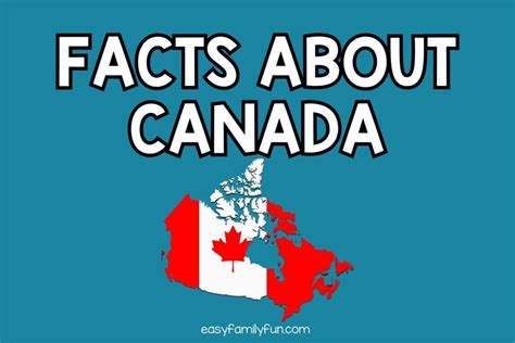 Statistics on Little Canada