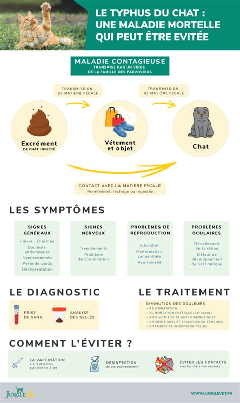 Statistique Et Traitement Du Typhus Et de La Fi Vre Typho de Observations Recueillies Lh Pital S Ra Doc