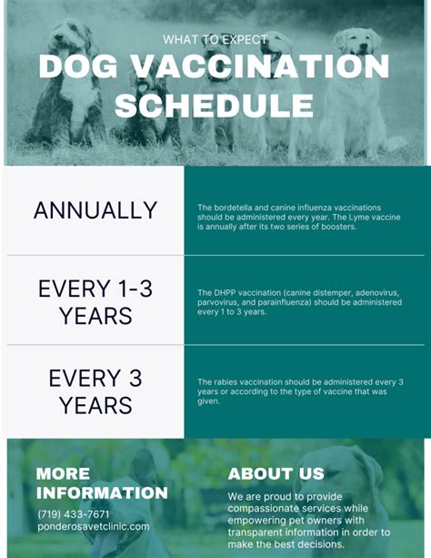 Stay 10 Steps Ahead with Advanced Pet Vaccination Management