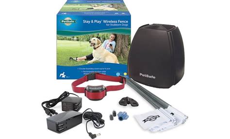 Stay and Play Wireless Fence for Stubborn Dogs: A Comprehensive Guide