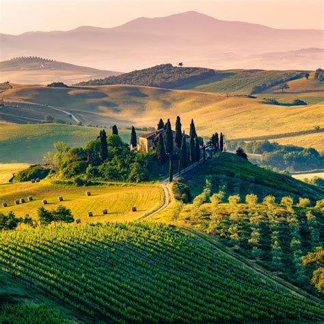 Stay at a Winery in Tuscany: A Unique Escape in the Heart of Italian Wine Country