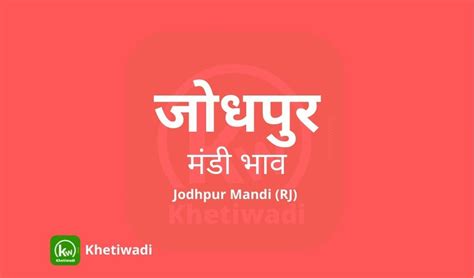 Stay on Top of the Market with Jodhpur Mandi Bhav