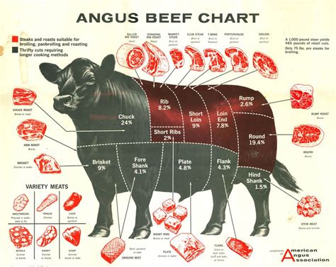 Steak Cuts Cow Chart