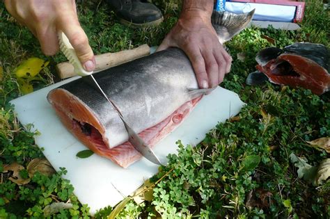 Steak Fish: A Cut Above the Rest