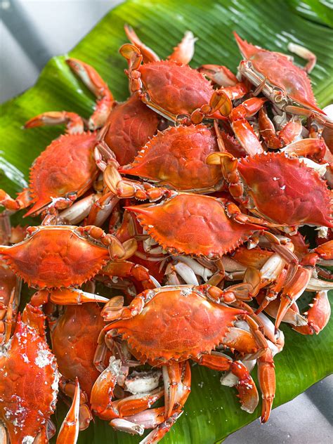 Steamed Blue Crabs: