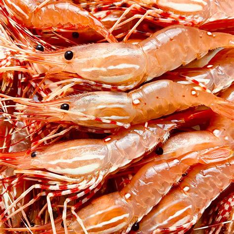 Steamed Live Prawns (100g)