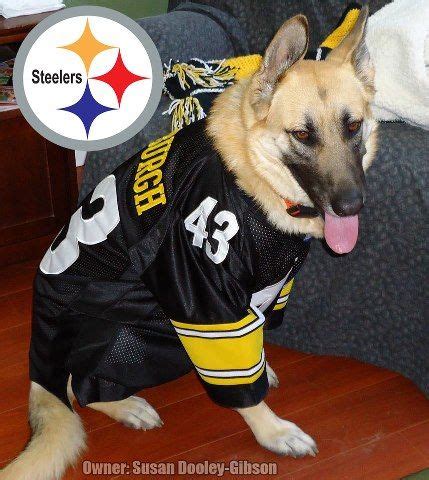 Steelers Dog Jersey 2025: The Ultimate Guide for Football-Loving Canines