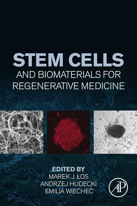 Stem Cells in Endocrinology 1st Edition Kindle Editon