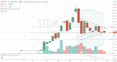 Stem Stock Price: A 10-Year Forecast