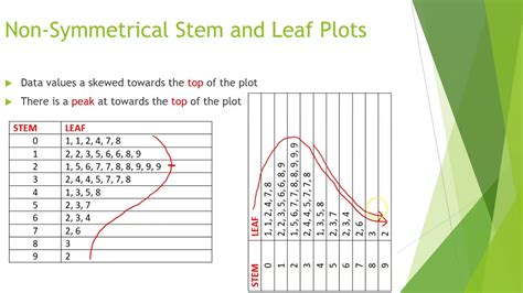 Stem and Leaf Calculator: An In-depth Guide to Understanding Data Distribution