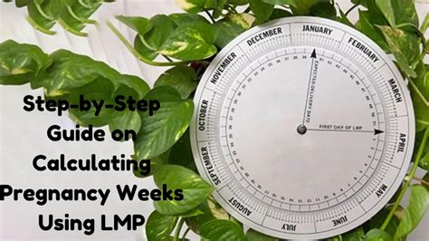 Step 1: Count back from the first day of your last menstrual period (LMP)