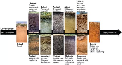 Step 1: Determine Soil Conditions