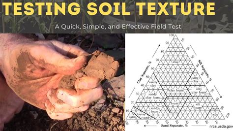 Step 1: Determine Soil Type