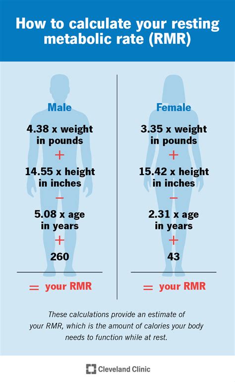 Step 1: Determine Your BMR (Basal Metabolic Rate)