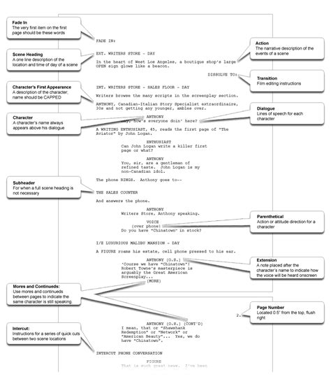 Step 1: Developing the Concept and Screenplay