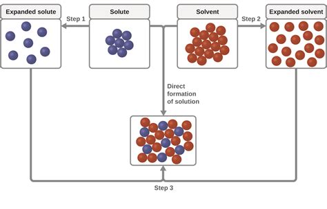 Step 1: Dissolution