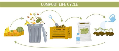 Step 1: Embarking on the Compost Pellet Journey