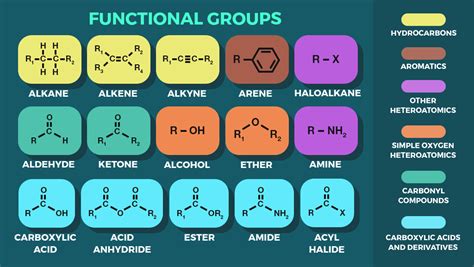 Step 1: Identify the Functional Groups