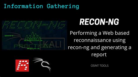 Step 1: Reconnaissance and Data Gathering