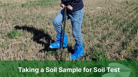 Step 1: Soil Test