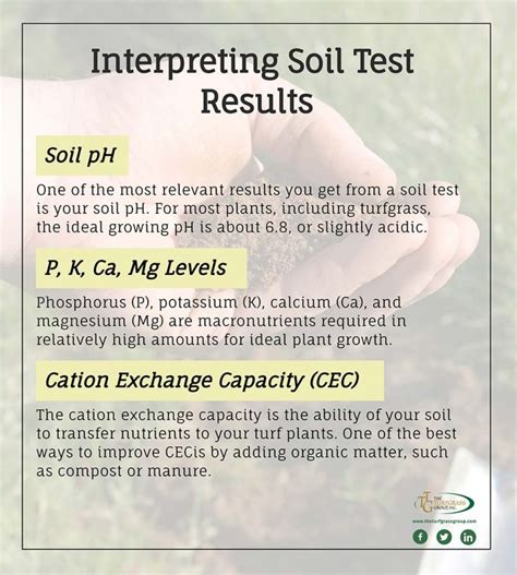 Step 1: Soil Test (Optional)