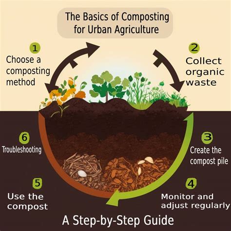 Step 1: Understanding the Basics of Composting