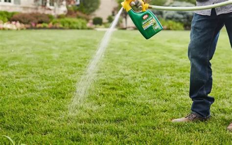 Step 1: Water the Lawn