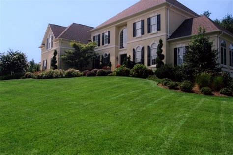 Step 4: Restore Your Lawn's Vitality for a Future-Proof Landscape