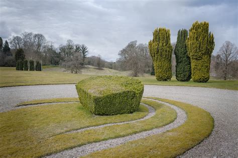 Step into the Garden: A Cosmic Canvas of Wonder