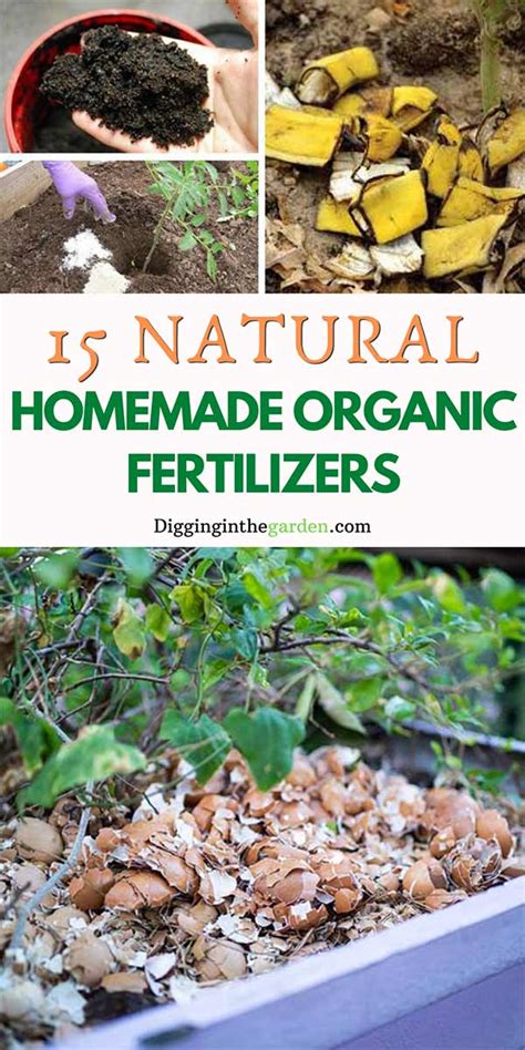 Step into the Organic Eden: Embracing 50 Incredible Homegrown Fertilizer Recipes