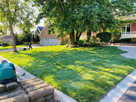 Step-by-Step Approach for a Lush, Fertile Lawn