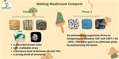 Step-by-Step Approach to Mushroom Compost Production